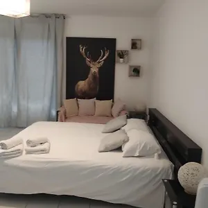 Appartement Chaleureux, Toulouse